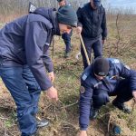 Solidaritate pentru natura si grija pentru viitor jandarmii au sadit copaci