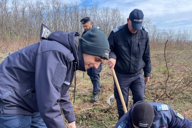 Solidaritate pentru natura si grija pentru viitor jandarmii au sadit copaci