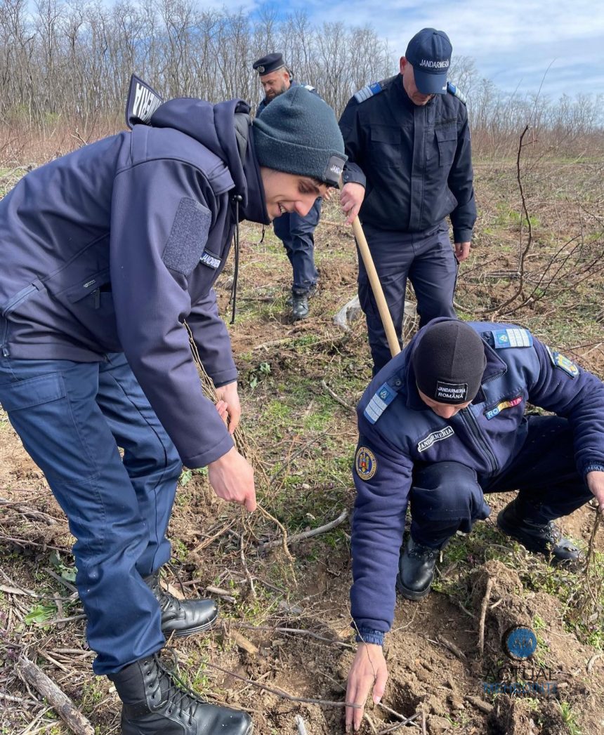 Solidaritate pentru natura si grija pentru viitor jandarmii au sadit copaci