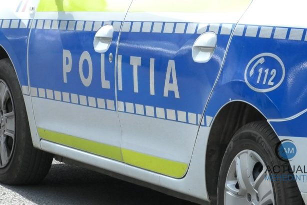 Sofer beat crita barbatul a avut alcoolemie de 098 Actiune ampla pentru combaterea consumului de alcool la volan