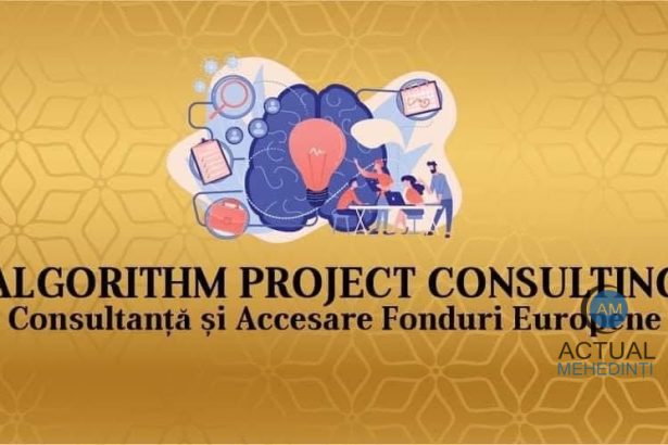 consultanta de lux in vremuri de austeritate primaria corcova risipa de fonduri publice elegant ambalata