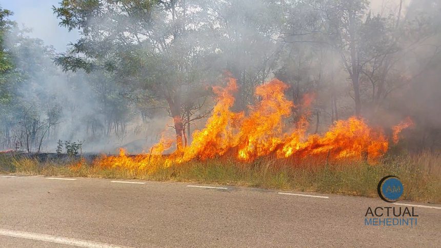 Incendiul intre Slashoma si Biban s a extins Pompierii intervin de 4 ore 100 de hectare de miriste si 50 de hectare de padure au fost afectate de flacari