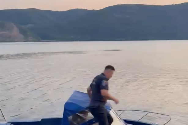 Cetatean sarbo salvat din Dunare de o patrula a Politiei de Frontiera Incidentul a avut loc dupa ce barbatul de 54 de ani ar fi adormit pe un colac in zona localitatii Svinita