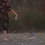 Dosar penal dupa imaginile socante din Strehaia Politia Animalelor cerceteaza ranirea unui pui de pisica