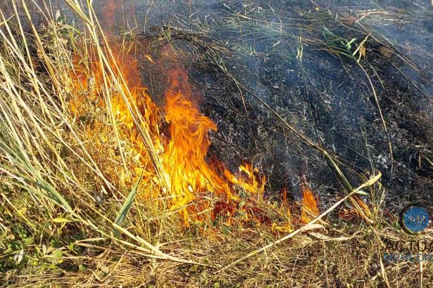 Incendiu de mari proportii in Comanda Flacarele s au apropiat de o ferma Pompierii au intervenit pentru a elimina pericolul