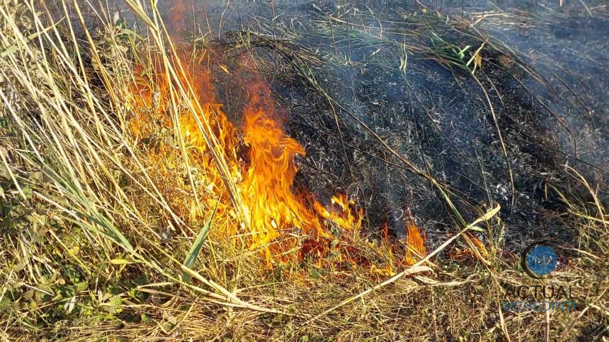Incendiu de mari proportii in Comanda Flacarele s au apropiat de o ferma Pompierii au intervenit pentru a elimina pericolul