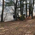 Incendiu de mari proportii la Podeni Peste 20 de hectare de vegetaie si padure afectate de foc