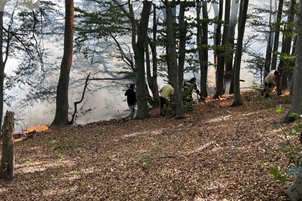 Incendiu de mari proportii la Podeni Peste 20 de hectare de vegetaie si padure afectate de foc