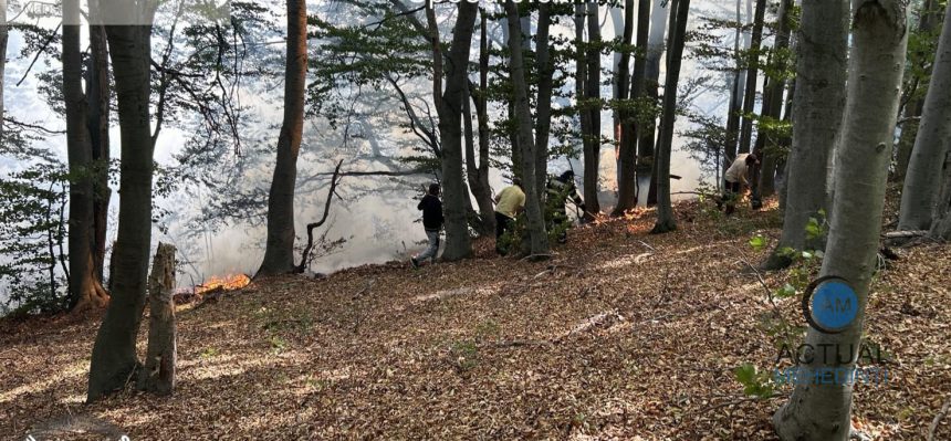 Incendiu de mari proportii la Podeni Peste 20 de hectare de vegetaie si padure afectate de foc