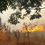 Incendiu de vegetatie cu propagare rapida la mai multe gospodarii din Vrata Locuitorii incearca sa salveze bunurile