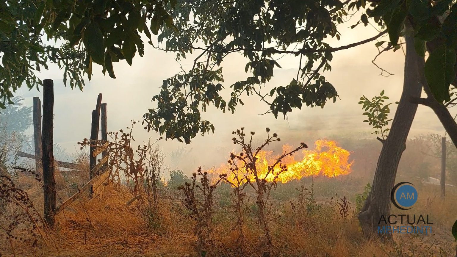 Incendiu de vegetatie cu propagare rapida la mai multe gospodarii din Vrata Locuitorii incearca sa salveze bunurile