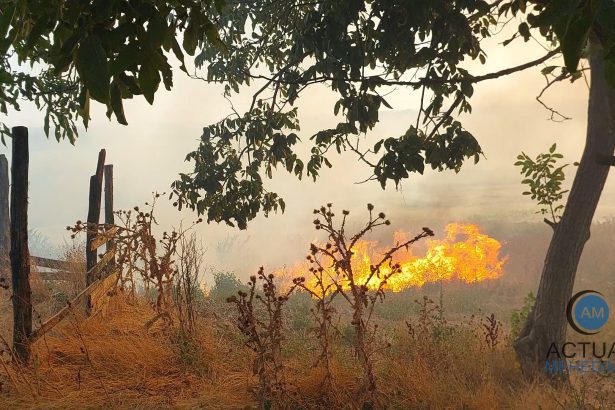 Incendiu de vegetatie cu propagare rapida la mai multe gospodarii din Vrata Locuitorii incearca sa salveze bunurile