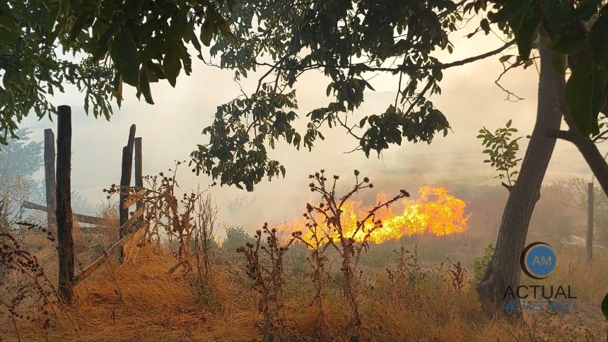 Incendiu de vegetatie cu propagare rapida la mai multe gospodarii din Vrata Locuitorii incearca sa salveze bunurile
