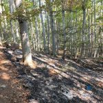 Incendiul de la Podeni dureaza de trei zile Pompierii continua lupta cu flacarile