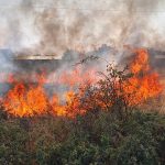 Pericol la locuinte incendii de vegetaie si violene in Halanga si Dudasu Cernetiului Pompierii intervin