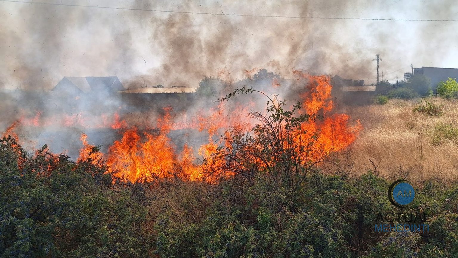 Pericol la locuinte incendii de vegetaie si violene in Halanga si Dudasu Cernetiului Pompierii intervin