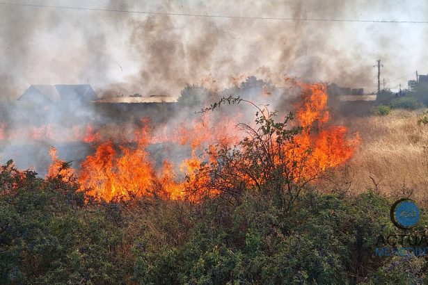 Pericol la locuinte incendii de vegetaie si violene in Halanga si Dudasu Cernetiului Pompierii intervin