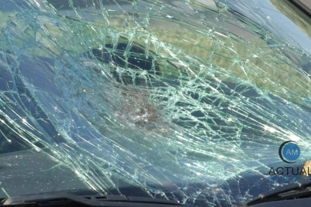 Peste 100 de accidente in Severin de la inceputul anului pana in prezent Neacordarea de prioritate continua sa fie una dintre principalele cauze ale acestor evenimente