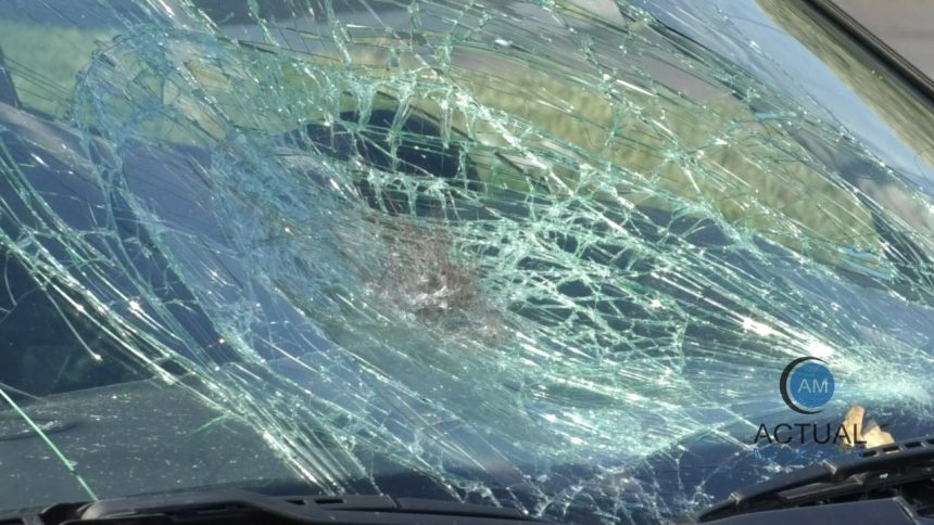 Peste 100 de accidente in Severin de la inceputul anului pana in prezent Neacordarea de prioritate continua sa fie una dintre principalele cauze ale acestor evenimente