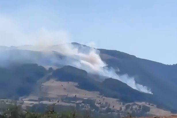 incendiu de amploare intr o padure din podeni terenul este accidentat si greu accesibil