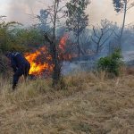 incendiu de vegetaie devastator n brda flcrile se apropie de locuine traficul este ngreunat din cauza fumului dens