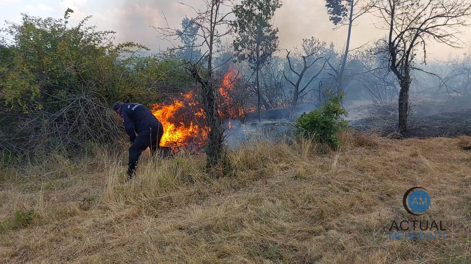 incendiu de vegetaie devastator n brda flcrile se apropie de locuine traficul este ngreunat din cauza fumului dens