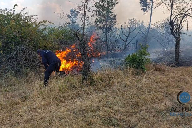 incendiu de vegetaie devastator n brda flcrile se apropie de locuine traficul este ngreunat din cauza fumului dens
