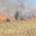 incendiu de vegetaie extins spre o plantatie de vit de vie i o pdure n devesel