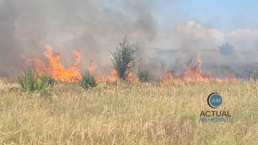 incendiu de vegetaie extins spre o plantatie de vit de vie i o pdure n devesel