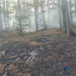 incendiu de vegetatie in podeni 13 hectare afectate pompierii intervin pentru a doua zi la rand