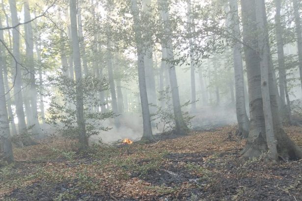incendiu de vegetatie in podeni 13 hectare afectate pompierii intervin pentru a doua zi la rand