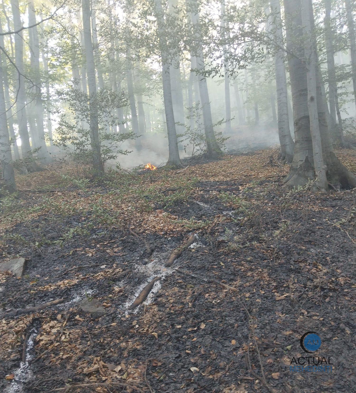 incendiu de vegetatie in podeni 13 hectare afectate pompierii intervin pentru a doua zi la rand