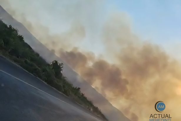 incendiu de vegetatie pe centura severinului flacarele se apropie de drum iar traficul este ingreunat