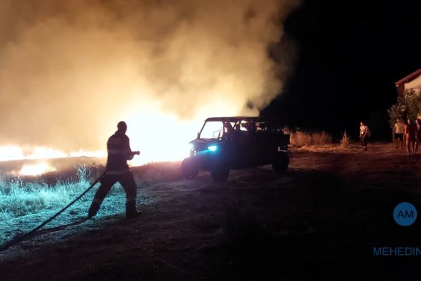 incendiu de vegetatie violent pe centura severinului flacarele au pus in pericol casele din zona pompierii au intervenit cu trei echipaje