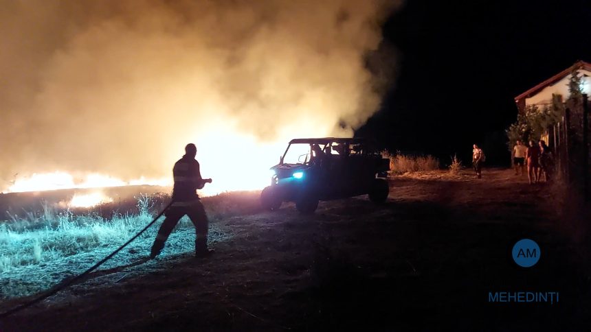 incendiu de vegetatie violent pe centura severinului flacarele au pus in pericol casele din zona pompierii au intervenit cu trei echipaje
