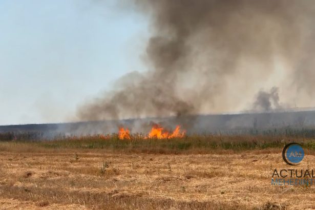 incendiu violent de vegetaie uscat in magheru flcrile s au extins pe o arie vast pompierii intervin cu mai multe echipaje