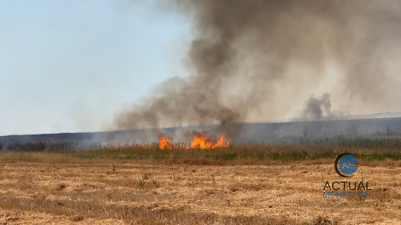 incendiu violent de vegetaie uscat in magheru flcrile s au extins pe o arie vast pompierii intervin cu mai multe echipaje