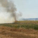 peste 180 de hectare de vegetatie miriste si padure distruse de flacari in doar 24 de ore pompierii continua interventiile pentru stingerea incendiului din podeni