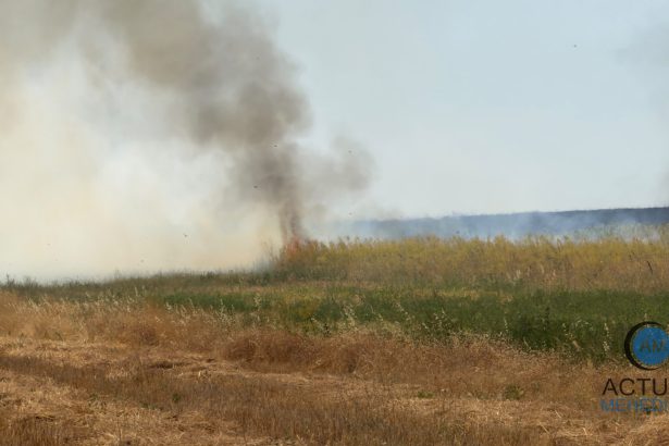 peste 180 de hectare de vegetatie miriste si padure distruse de flacari in doar 24 de ore pompierii continua interventiile pentru stingerea incendiului din podeni