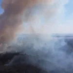 Fum dens și vegetație cuprinsă de flăcări pe o suprafață întinsă în localitatea Cârjei