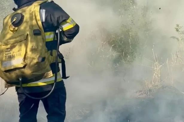 Incendiu de vegetație la Noapteșa: pompierii primesc întăriri, vântul îngreunează totul