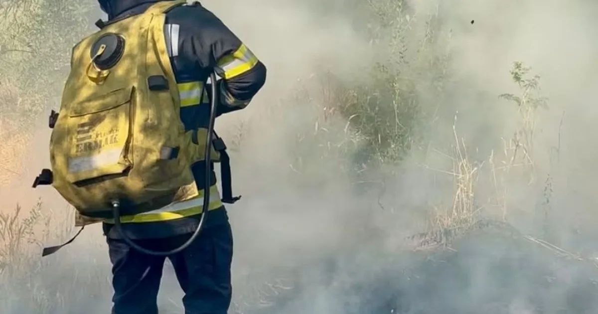 Incendiu de vegetație la Noapteșa: pompierii primesc întăriri, vântul îngreunează totul