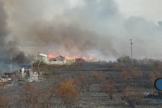 Incendiu la service auto pe centura Severinului: opt mașini afectate