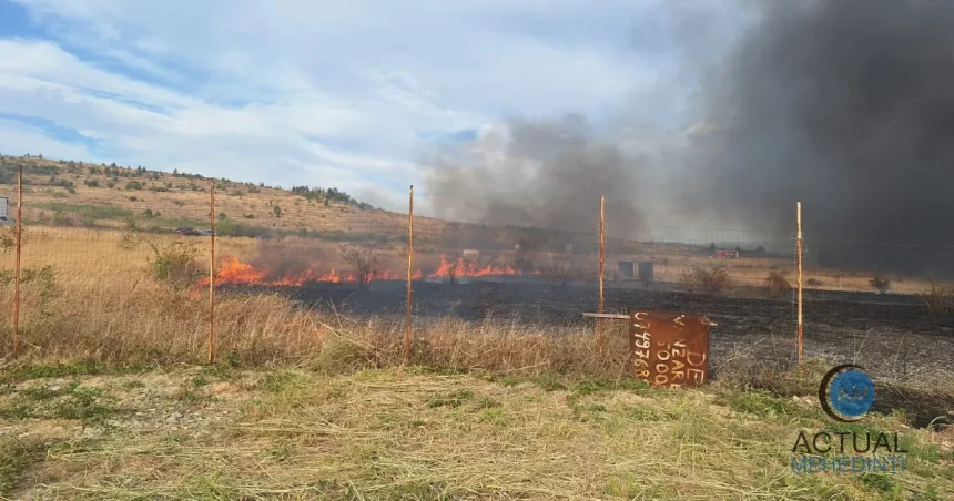 Incendiu violent pe centura Severinului: focul a cuprins un depozit de anvelope și mașini.