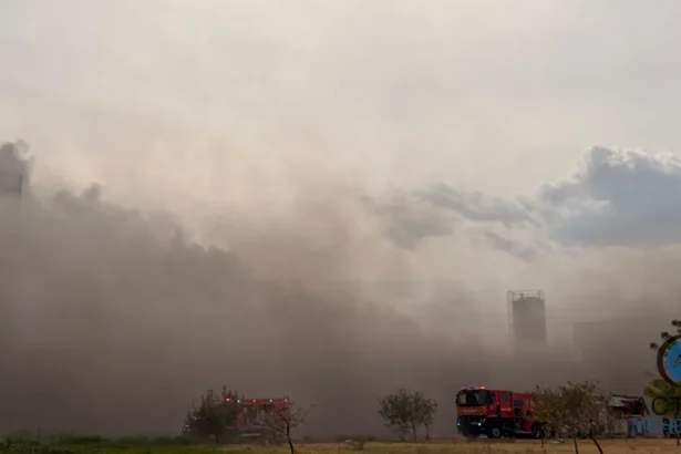 Incendiul oprește fabricile de hârtie și argint. Fabrica de cablaje, neafectată