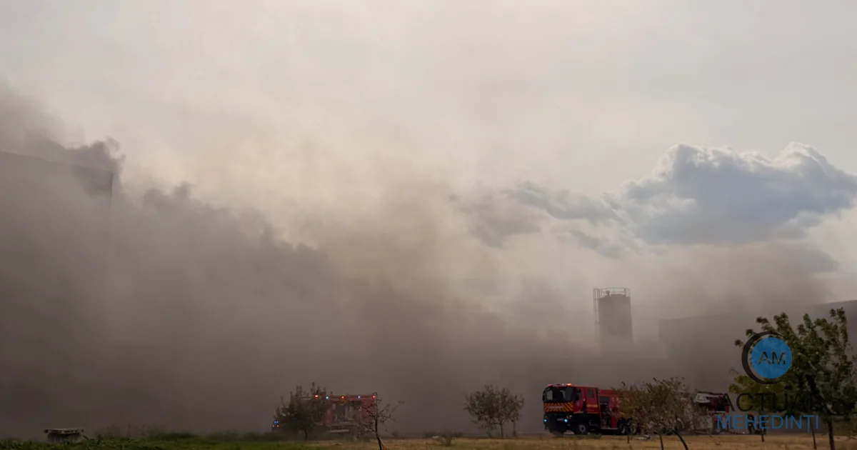 Incendiul oprește fabricile de hârtie și argint. Fabrica de cablaje, neafectată