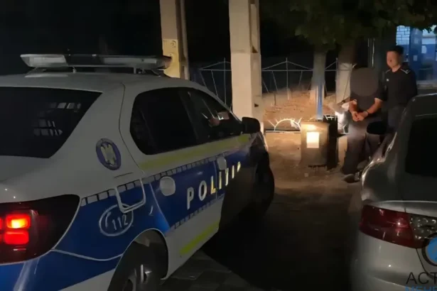 Mehedințean reținut pentru încălcarea ordinului de protecție față de fratele său