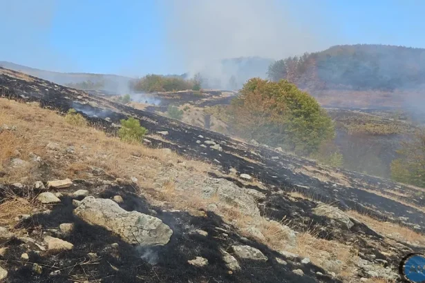 Patru incendii violente în județ; la Orșova intervin pompieri și angajați ai Parcului