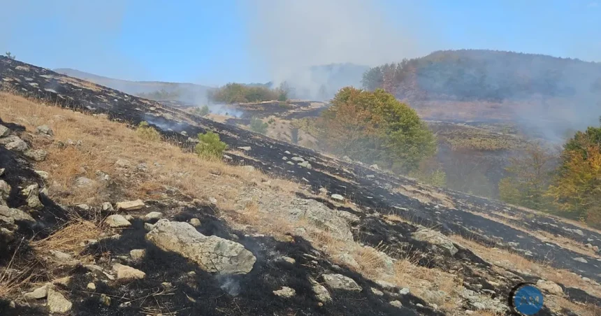 Patru incendii violente în județ; la Orșova intervin pompieri și angajați ai Parcului