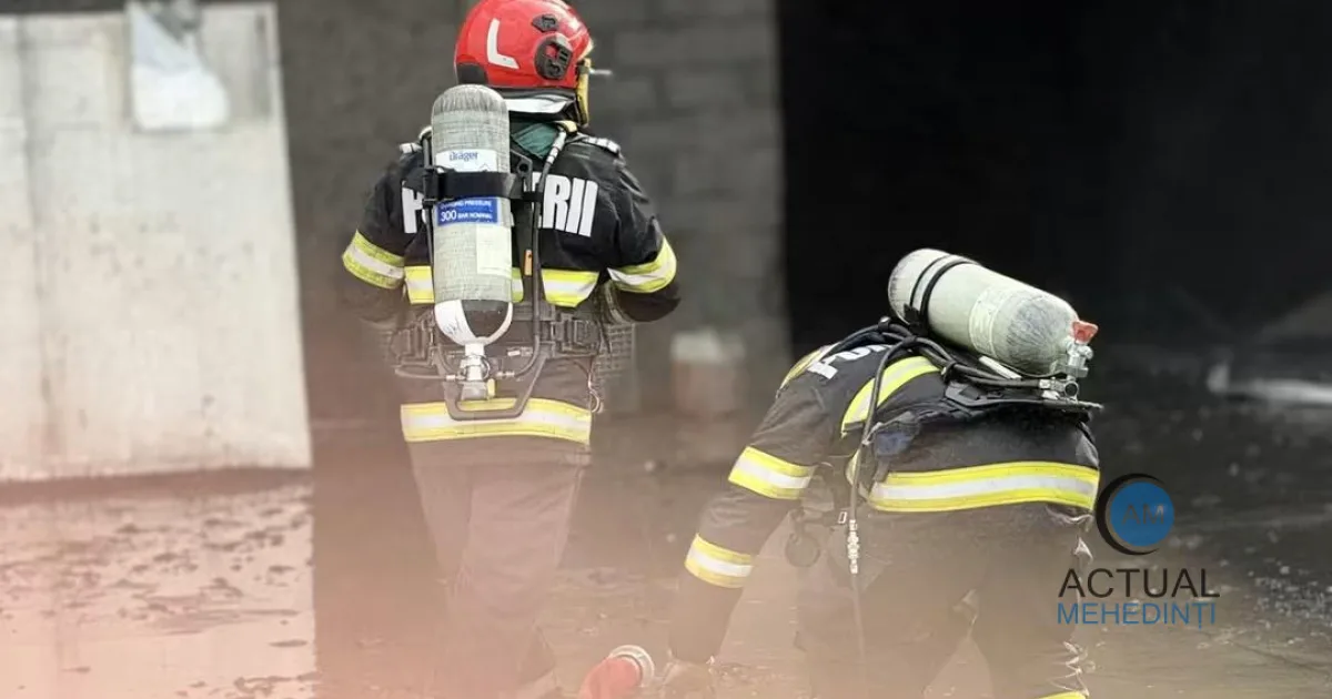 Pompierii continuă lupta cu focarele rămase la fabrica de celuloză